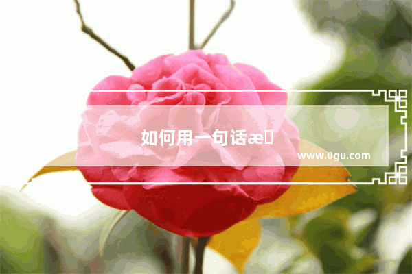 如何用一句话来形容爱情的味道