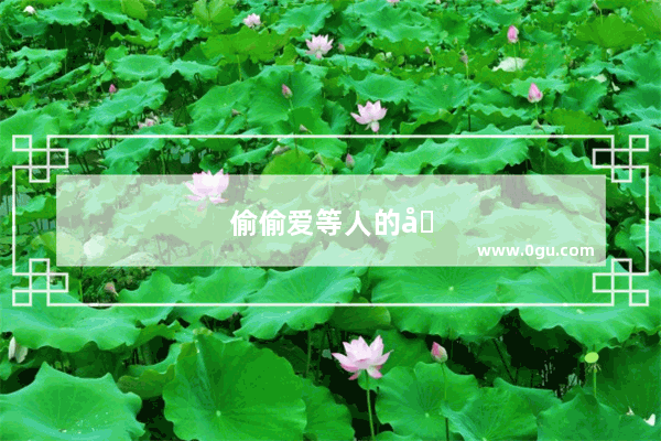 偷偷爱等人的句子