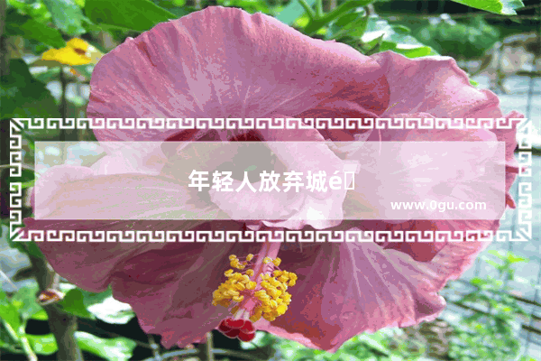 年轻人放弃城里生活的句子说说
