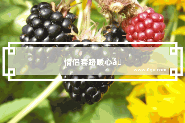 情侣套路暖心句子短句