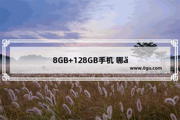8GB+128GB手机 哪个牌子的好