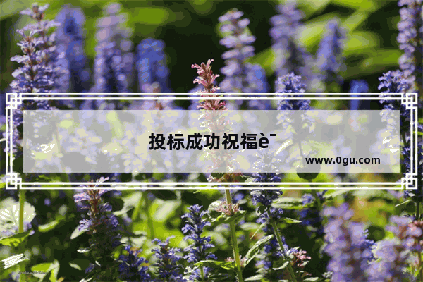 投标成功祝福语8个字