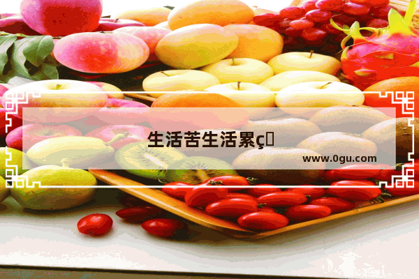 生活苦生活累的搞笑句子