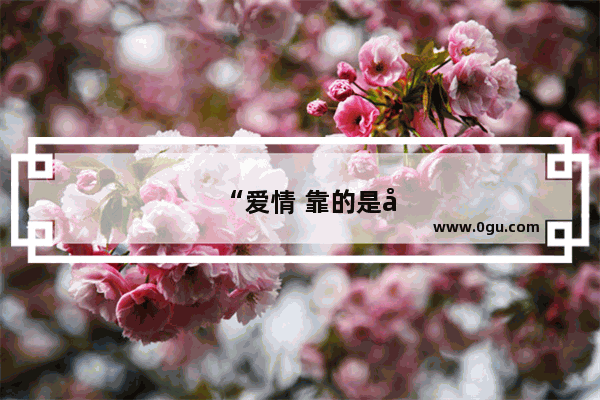 “爱情 靠的是吸引 而不是感动”你认同这句话吗为什么