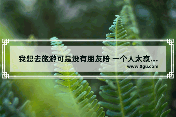 我想去旅游可是没有朋友陪 一个人太寂寞了 怎么办_旅游结束后心情的句子