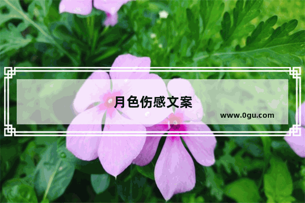月色伤感文案