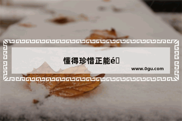 懂得珍惜正能量句子
