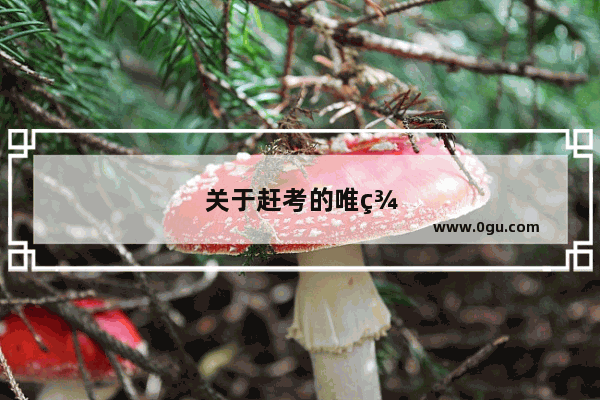 关于赶考的唯美句子短句