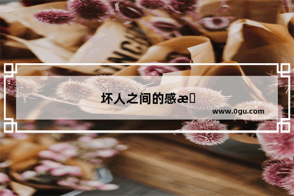 坏人之间的感情句子简短