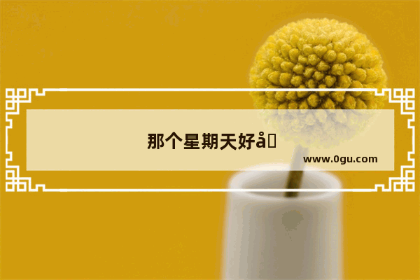 那个星期天好句赏析5句