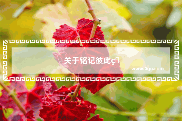 关于铭记彼此的句子