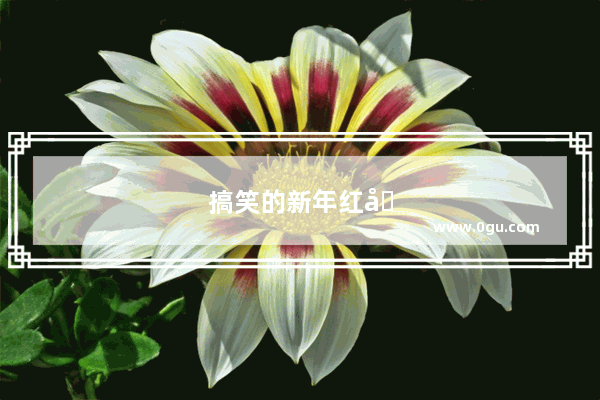 搞笑的新年红包祝福