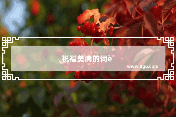 祝福美满的词语