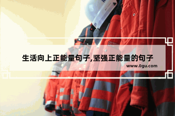 生活向上正能量句子,坚强正能量的句子