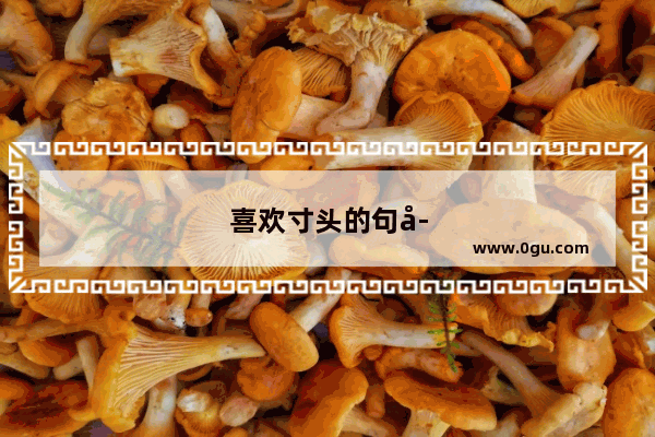 喜欢寸头的句子说说