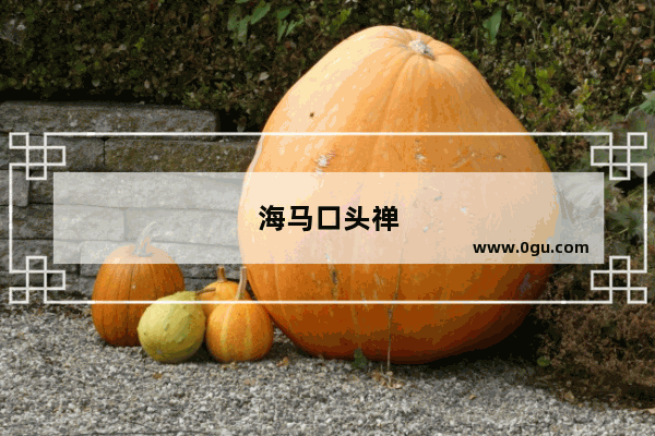 海马口头禅