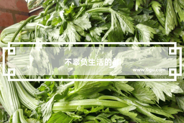 不辜负生活的唯美句子