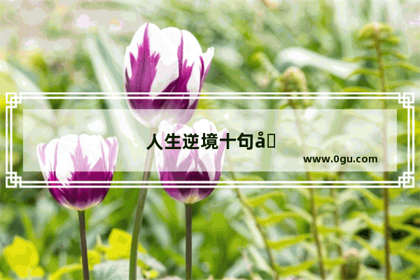 人生逆境十句口诀