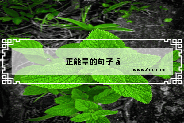 正能量的句子 人生感悟 努力工作