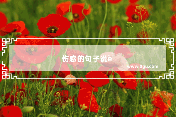 伤感的句子说说