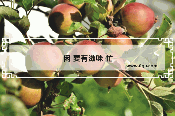 闲 要有滋味 忙 要有价值 ​你怎么看昵