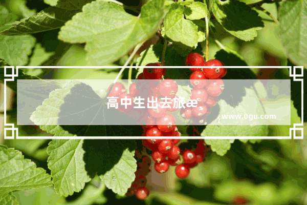 高中生出去旅游需注意什么