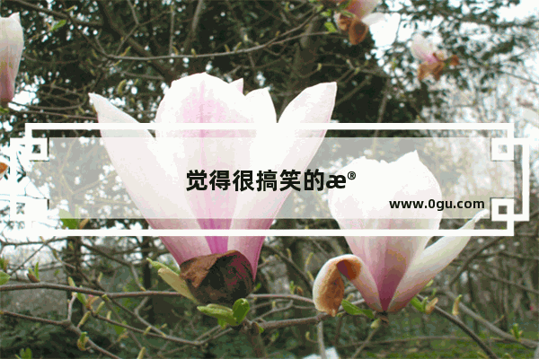 觉得很搞笑的段子该怎么去评论呢