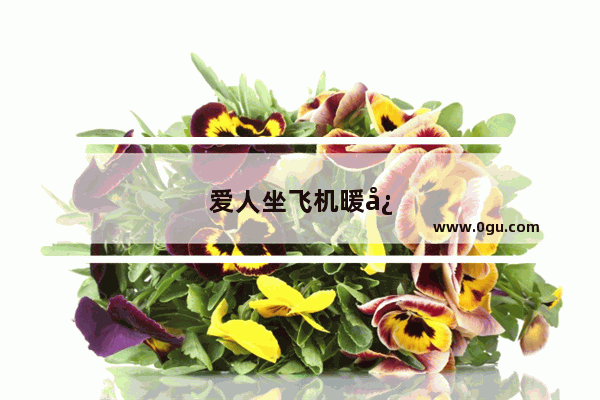爱人坐飞机暖心话