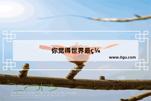 你觉得世界最美的心灵是什么样子的