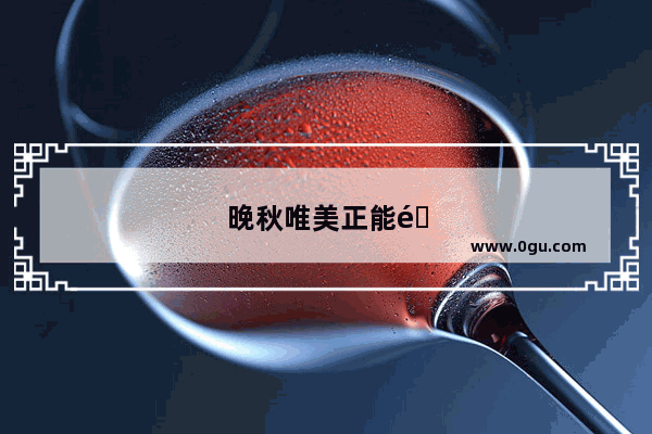 晚秋唯美正能量句子简短