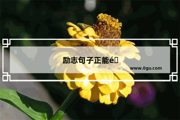 励志句子正能量霸气短句