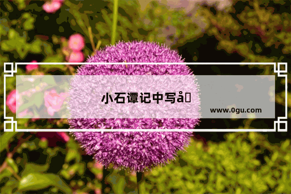 小石谭记中写出小石谭记源头悠远两岸弯曲的句子是