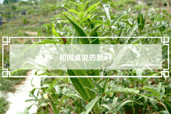 和同桌说的默契句子搞笑