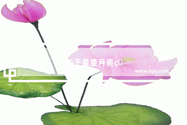 关于星星月亮的撩人情话
