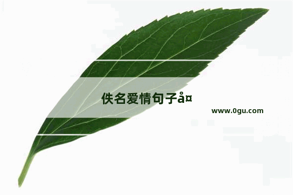 佚名爱情句子大全