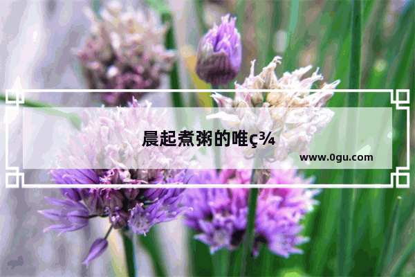 晨起煮粥的唯美句子简短