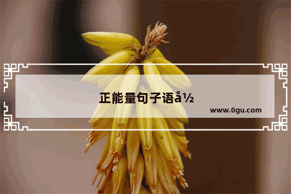正能量句子语录英译版
