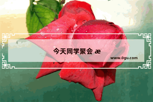 今天同学聚会 怎么用一句话形容见到老同学的心情