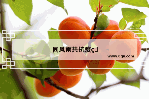 同风雨共抗疫的句子