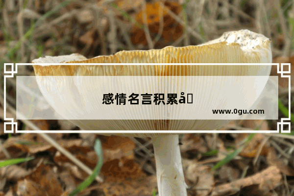感情名言积累句子摘抄大全