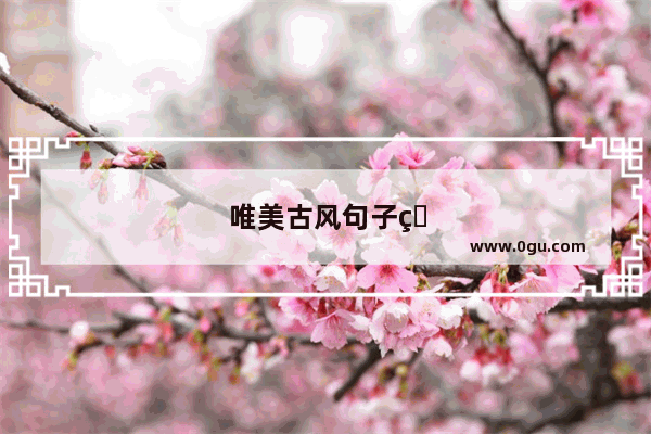 唯美古风句子爱情句子短句