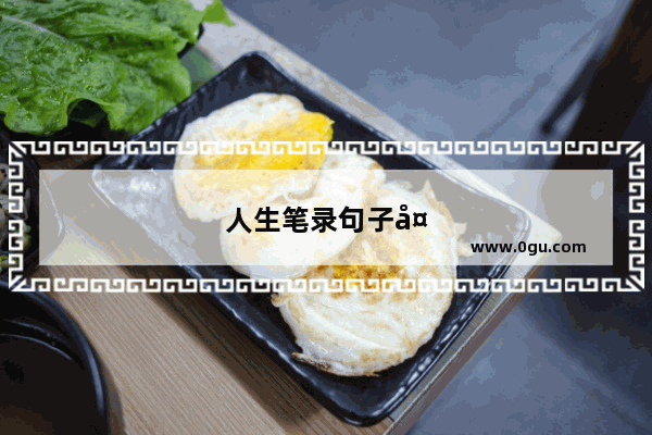 人生笔录句子大全