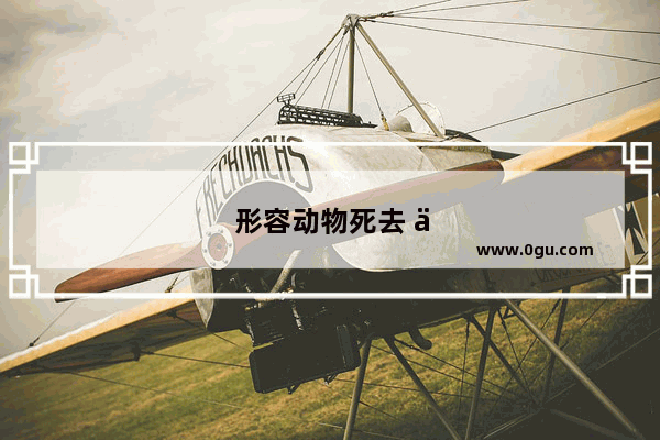 形容动物死去 不要悲伤的句子