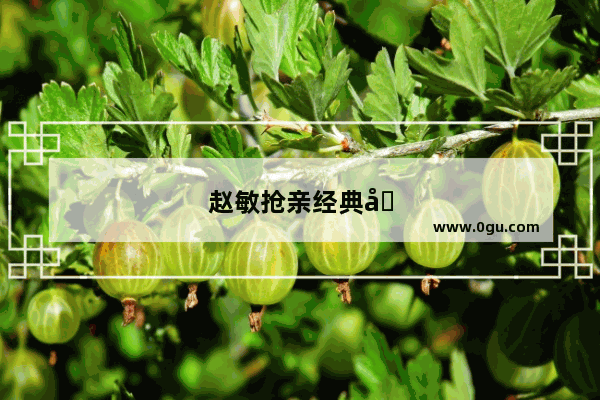 赵敏抢亲经典台词