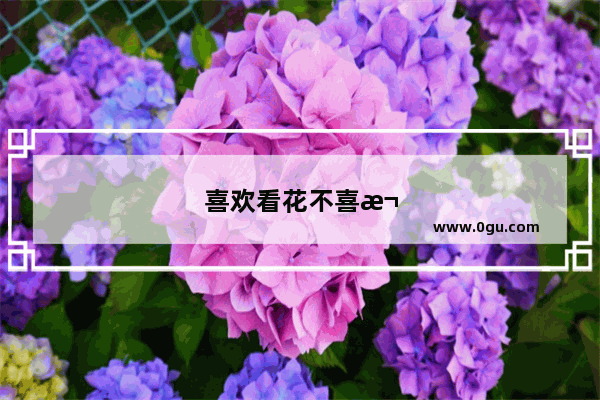 喜欢看花不喜欢养花的幽默句子图片