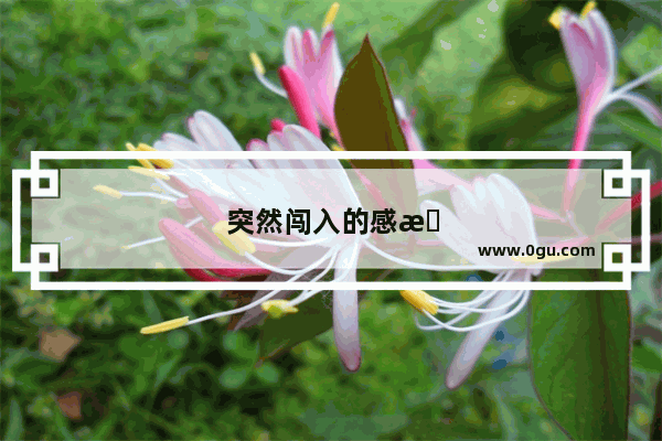 突然闯入的感情句子简短
