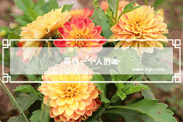 等待一个人的深情句子