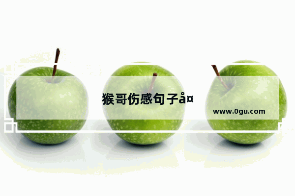 猴哥伤感句子大全