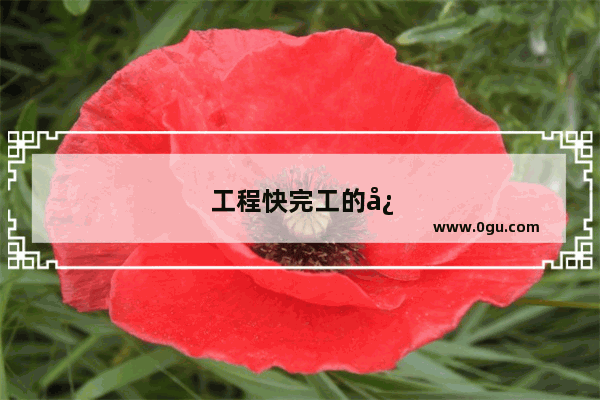 工程快完工的心情的句子