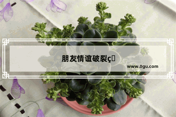 朋友情谊破裂的句子